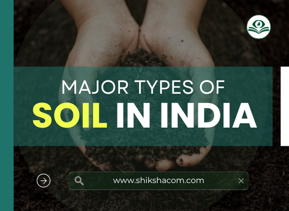 Soil in India